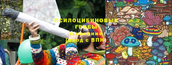 молекула духа Красноперекопск