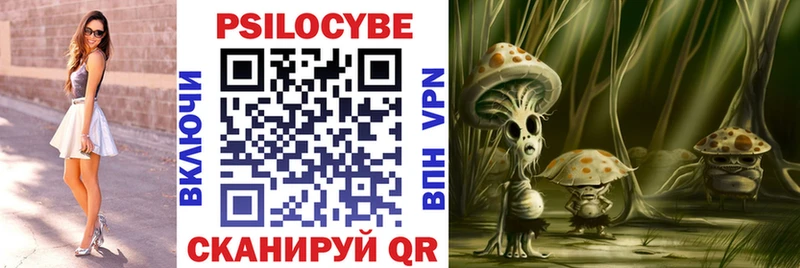 Галлюциногенные грибы Cubensis  Купить  Лыткарино 